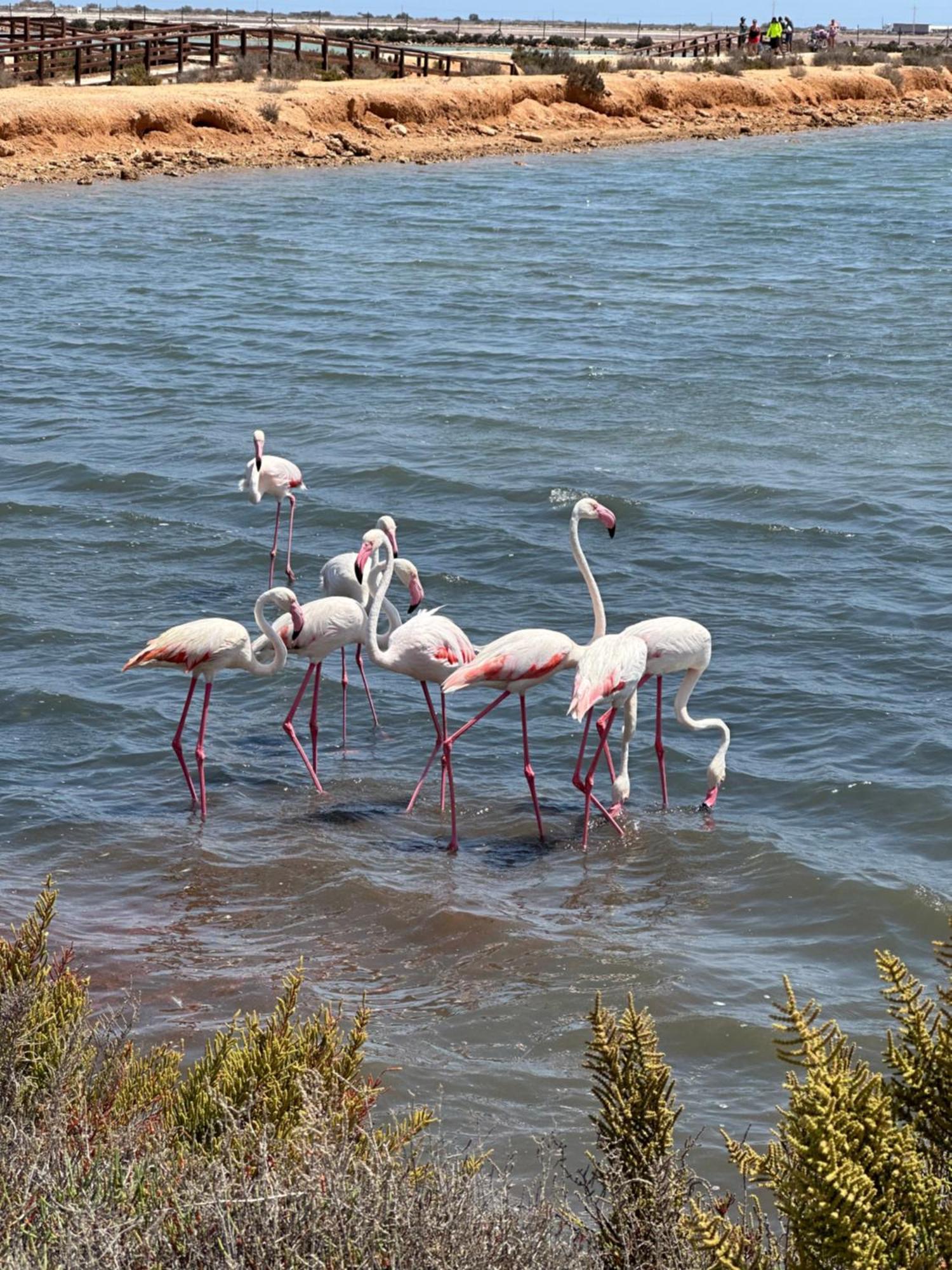 Mar Menor Paradise By Los Pinos Holidays San Pedro del Pinatar Extérieur photo
